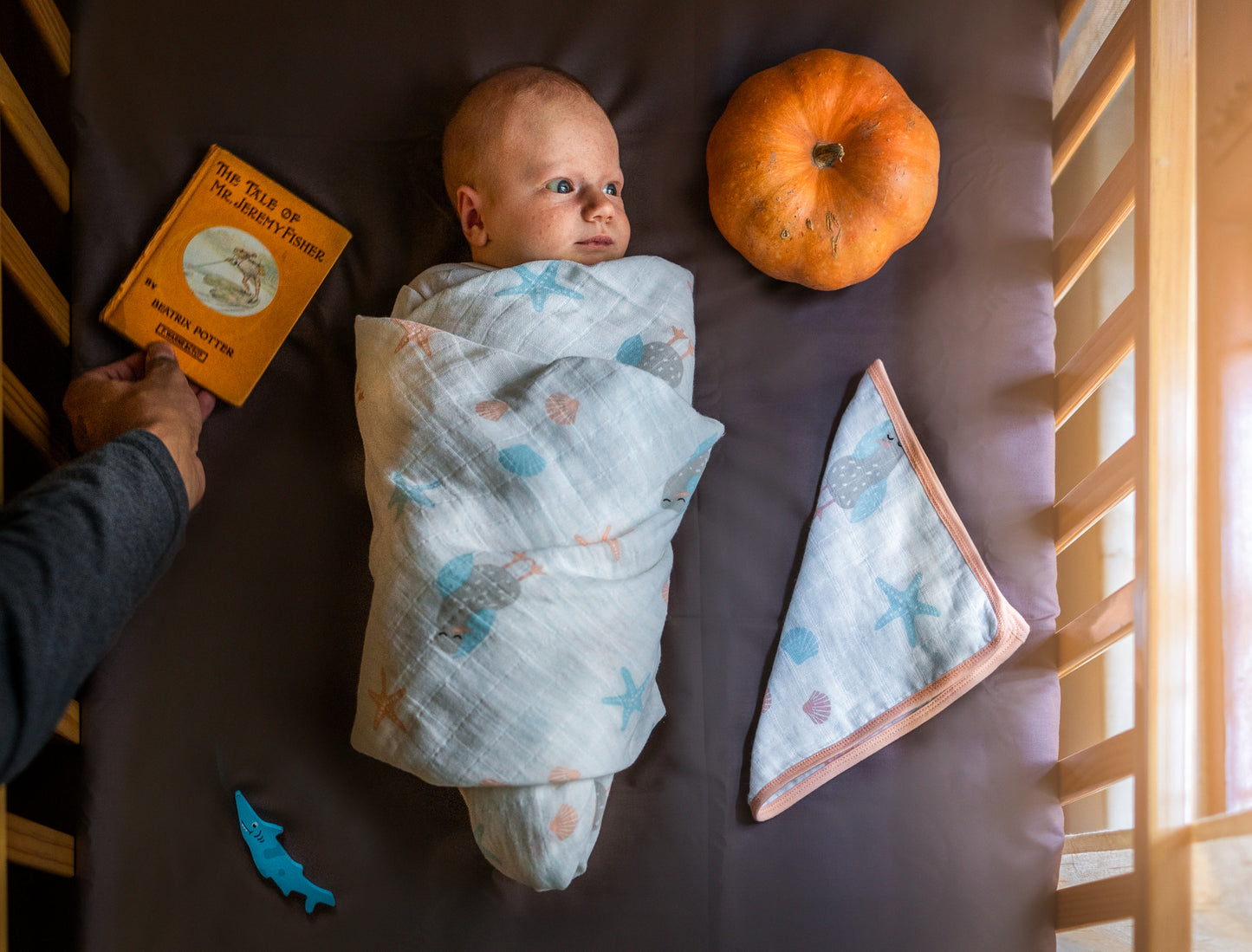 OOKA Baby Gift Card